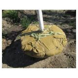 Birch - Parkland Pillar, 16ft, 3" Caliper