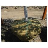 Birch - Whitespire, 19ft