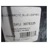 Willow Arctic Blue Leaf, 3 Gallon Pot