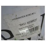 Hydrangea - Bobo Shrub