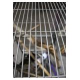 Large Bird Cage with Accessories on Wheels