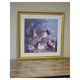 "Peacock, Peahen & Poultry" Framed Print by Tobias Stranover