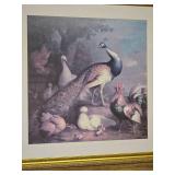 "Peacock, Peahen & Poultry" Framed Print by Tobias Stranover