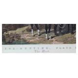 Antique English Engraving Print - Fore