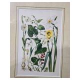 Framed Botanical Etching Pair - Wild Flowers