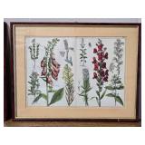 Framed Botanical Reference Book Cutout Pair - Mushrooms - Slipper Orchids