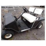 EX GO Golf Cart Gas Powered