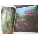 3 Rand McNally  Picture Books...