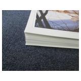 Stack of David Maass " Leaving Shel...