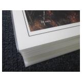 Stack of David Maass " Sunlit Desce...