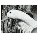 Large Black and White Framed Photographic Print of a Boy with a Goose