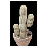 Vintage Cactus Plant Decor