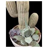Vintage Cactus Plant Decor