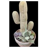 Vintage Cactus Plant Decor