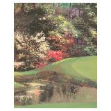 Gorgeous Golf Course Scene Framed Print