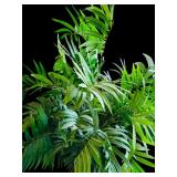 Beautiful Plaster Pot with Faux Greens