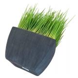 Home Decor Faux Grass in Black Containers