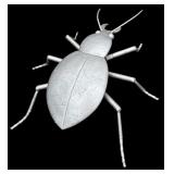 Yard Decor Large Silver Colored Beatle Figurine