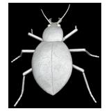 Yard Decor Large Silver Colored Beatle Figurine