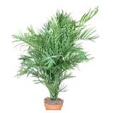 Lovely Faux Plant in Planter by Bachman