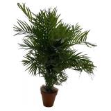 Lovely Faux Plant in Planter by Bachman