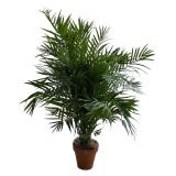 Lovely Faux Plant in Planter by Bachman