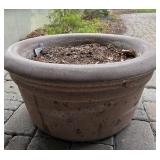 Beautiful Cement Planter