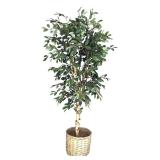 Vickerman Green Artificial Tall Ficus Tree with Woven Pot