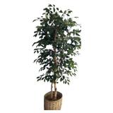 Vickerman Green Artificial Tall Ficus Tree with Woven Pot