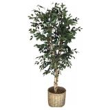 Vickerman Green Artificial Tall Ficus Tree with Woven Pot