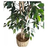 Vickerman Green Artificial Tall Ficus Tree with Woven Pot
