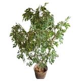 Faux Ficus Tree with Wicker Pot