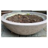 Large Cement Planter