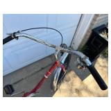 Worksman Adult Trike / Tricycle