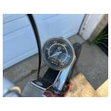 Worksman Adult Trike / Tricycle