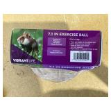 LOT OF 2 Vibrant Life Exercise Ball 7.3" Large Clear