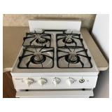 2007 Forest River Salem Park Model