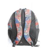 High Sierra Multicolor Backpack with Padded Straps