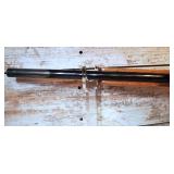 Ruger 10/22 .22LR Carbine Heavy-Barrel Competition Rifle with Beautiful Wood Thumb-Loop Stock Furniture and BSA Scope