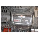 DR Professional Power Gas Walk Behind Trimmer