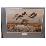 Mark Anderson Framed Print "Signs of Autumn"