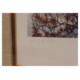 Harlan Zieska Framed Print "Summit Solitude"