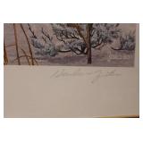 Harlan Zieska Framed Print "Summit Solitude"