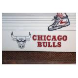 Limited Edition Chicago Bulls Artwork by E. Andzieye in Frame