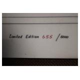 Limited Edition Chicago Bulls Artwork by E. Andzieye in Frame