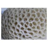 Handcrafted Red Elephant Ceramic Sculpture and Coral-Inspired Decor