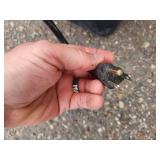 1 HP Bounce House Blower