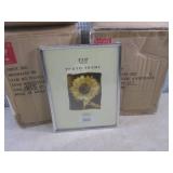 (CS) 12 - 8x10 Silver Reminiscent P...