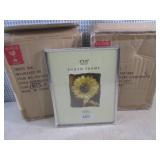 (CS) 12 - 8x10 Silver Reminiscent P...