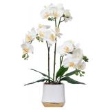 New Artificial Orchid Flowers Set White Fake Phalaenopsis Flower Faux Butterfly Orchid Real Touch Orchid White $46.00 Retail *B